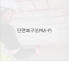 단면복구 (EPM-P)