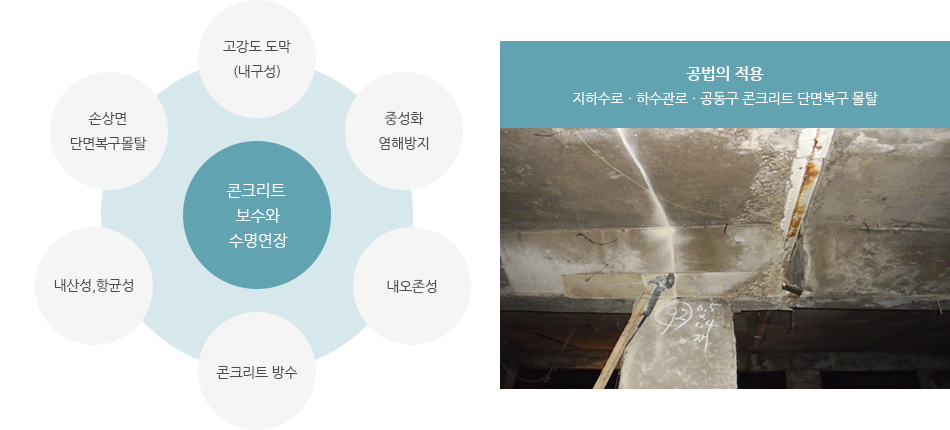 콘크리트 보수와 수명연장: 고강도 도막(내구성), 중성화 염해방지, 내오존성, 콘크리트 방수, 내산성,항균성, 손상면 단면 복구 몰탈